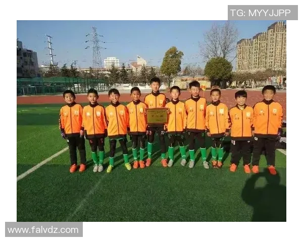 上海足球队灵活性创新高引发全国关注助力球队崛起