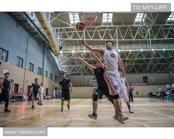 刘娜独家篮球心得分享：从基础技巧到实战经验的全面解析与提升建议